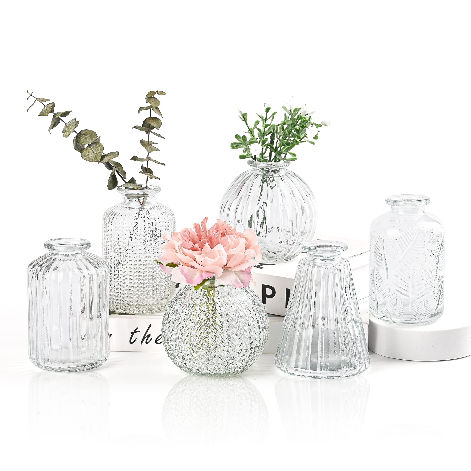 Small Vases for Flowers EylKoi - 6pcs/set Bud Vase Glass Clear Different Shapes, Vintage Wedding Decor, Bud in Bulk for Centerpieces Small Glass Single Flower Vases for Home Events Table