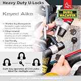 Burg-Wächter 100D Sold Secure Gold U Lock Trio Pack Keyed Alike Black view 4