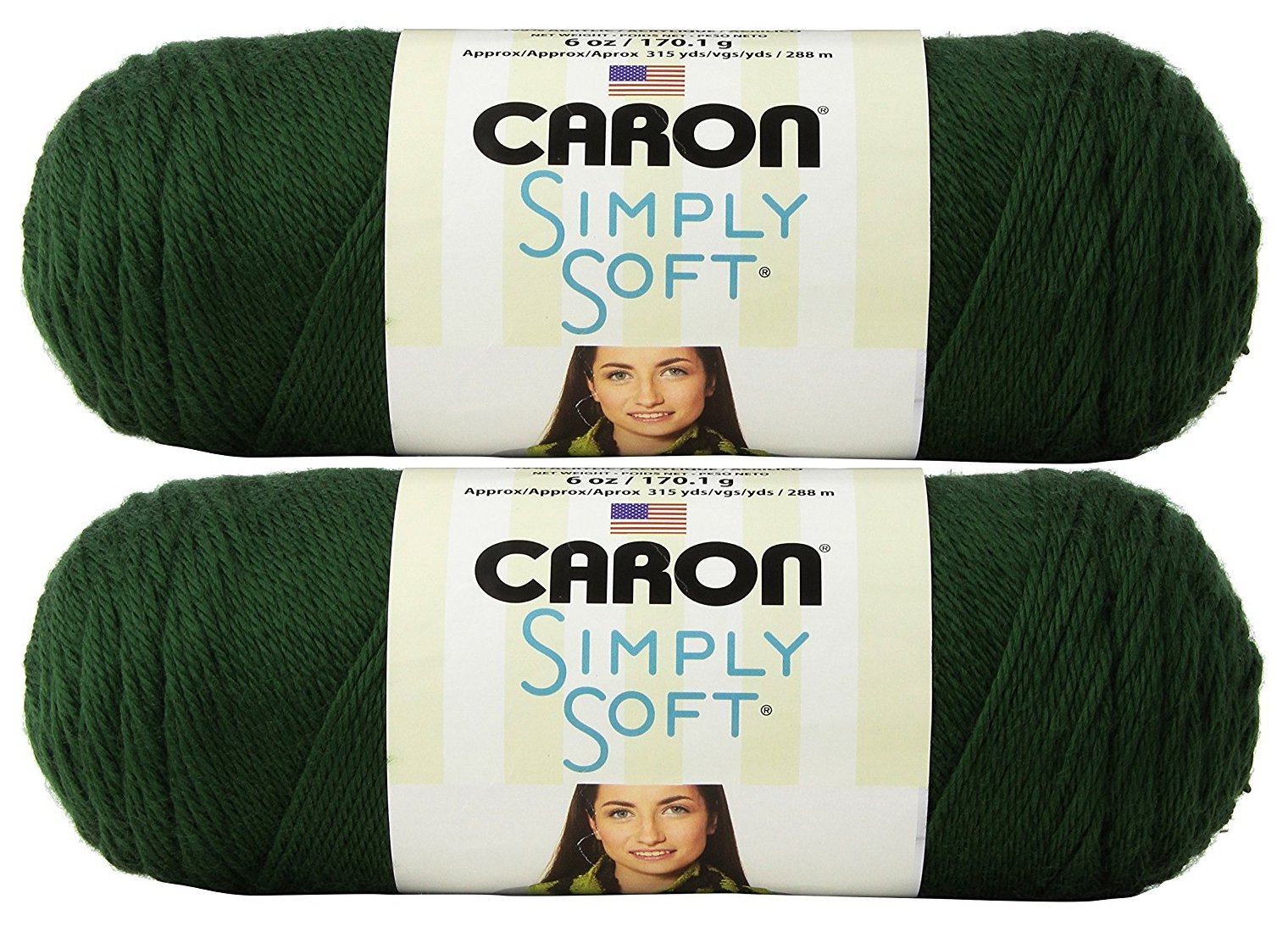 Bulk Buy: Caron Simply Soft Yarn Solids (2-pack) (Dark Sage)