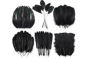 Larryhot Black Craft Feathers Bulk - 240pcs 6 Style Mixed Natural Feathers for Wedding Home Party, Dream Catcher Supplies and DIY Crafts (Black)