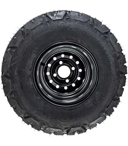 Amazon.com: Spartan Mowers 422-0053-00 Turf Armor 22x11-10 Rear