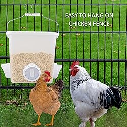 Automatic Chicken Feeder Chicken Feed Container