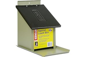 Stokes Select Lunch Box Squirrel Feeder with Metal Roof, 4.1 lb Capacity