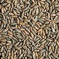 Rye Berries | 4 Pounds | Whole Rye Grain | Non-GMO Bulk Dry | Great for Breads | Product of USA