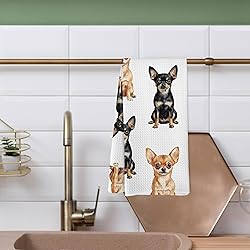 Yorhifa Chihuahua Dog Kitchen Dish