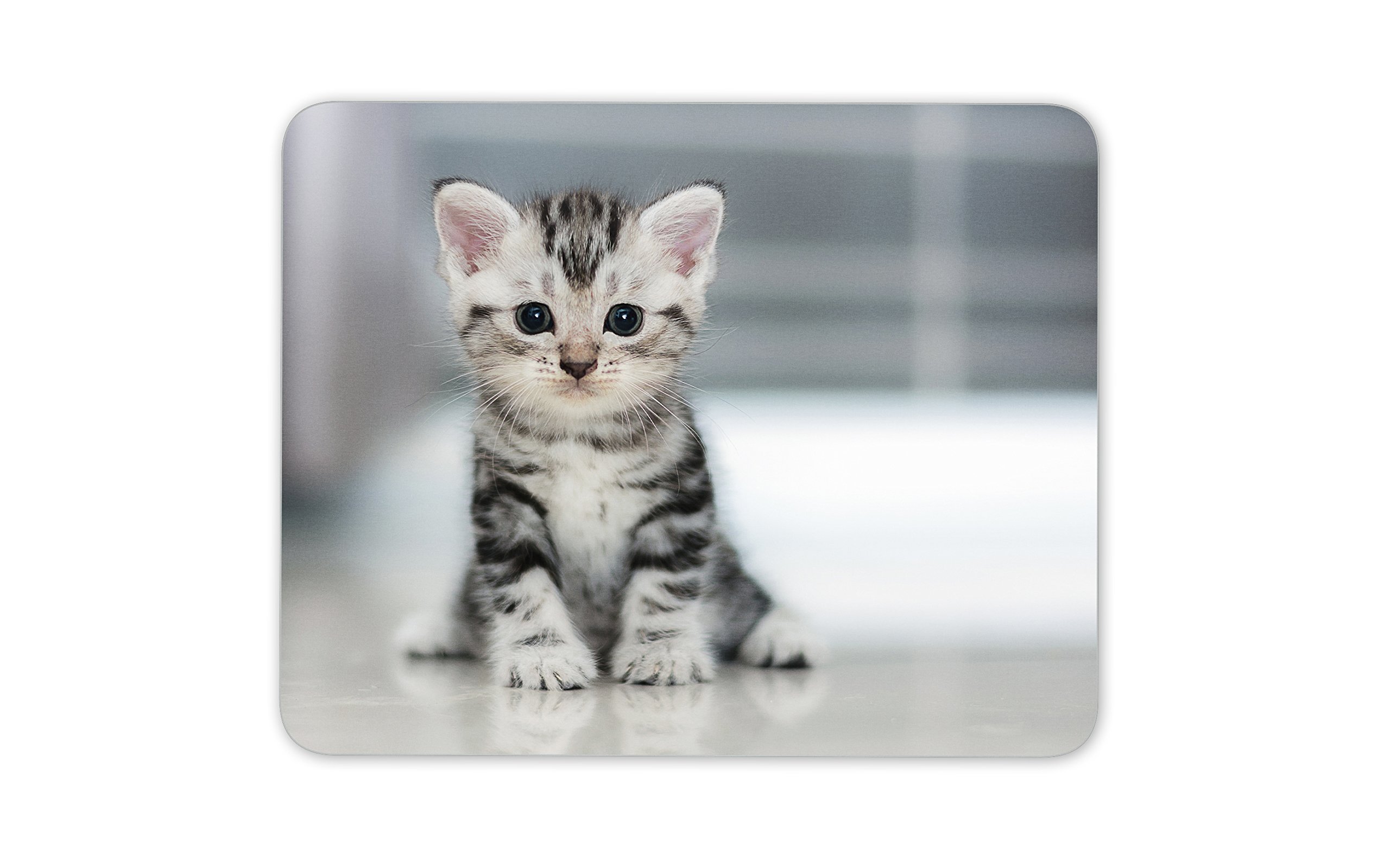 Destination Vinyl Ltd Adorable Kitten Mouse Mat Pad - Cat Cats Cute Mum Sister PC Computer #8433