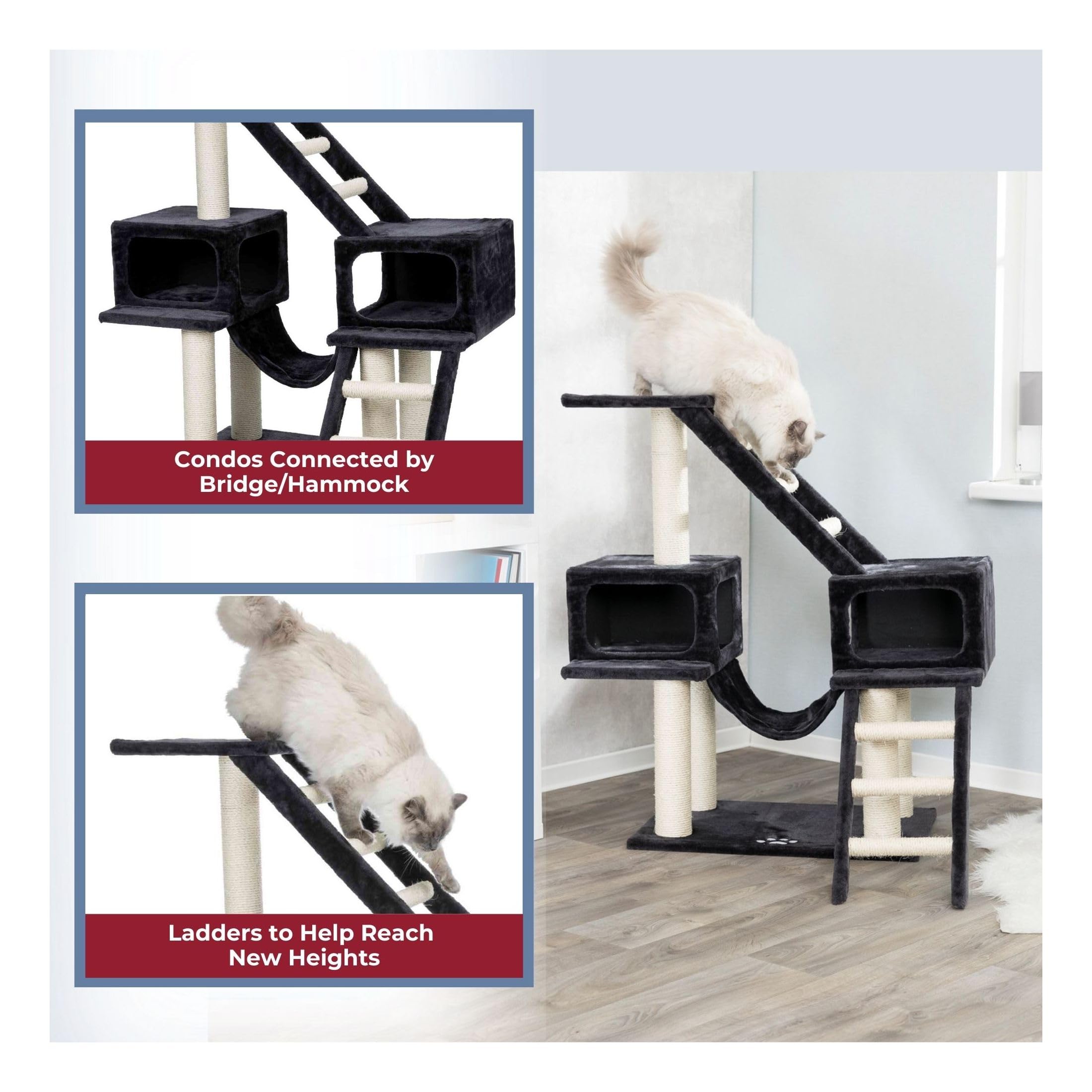 View 6