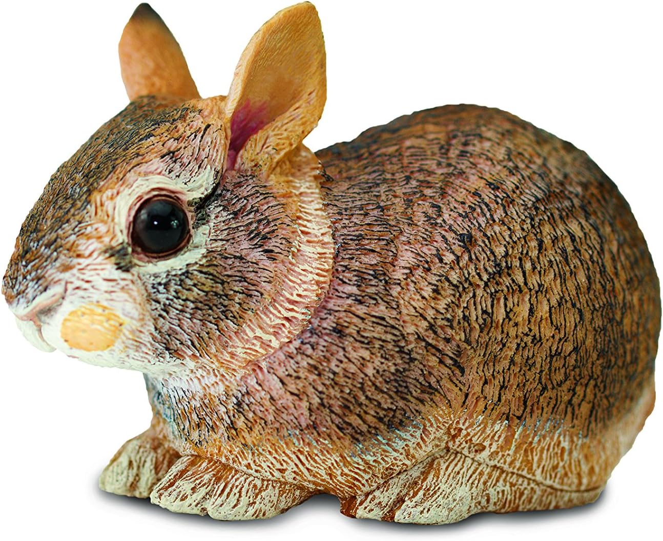 Eastern Cottontail Rabbit Baby Amazon.co.uk Toys & Games
