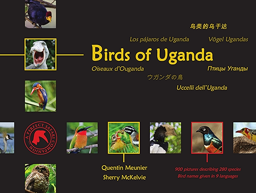 Download Birds of Uganda (English Edition) PDF