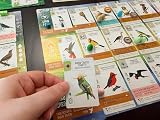 Stonemaier Wingspan Americas Expansion Board Game 1-5 Players 60-90 Min view 7