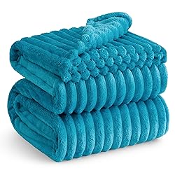 Bedsure Teal Full Blanket for Bed - GentleSoft Cozy