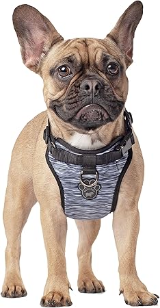 canada pooch harness medium