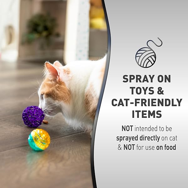 NATURE’S MIRACLE ADVANCED CATNIP TRAINING SPRAY WITH REAL CATNIP OIL ATTRACTS CATS AND ENCOURAGES POSITIVE BEHAVIOR, 8 OUNCES