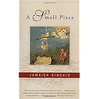 A Small Place book cover