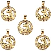 COGCHARGER 5 Pieces Brass Cubic Zirconia Charm Pendant Flat Round with Leopard Charm Real 18K Gold Plated for Jewelry Necklace Bracelet Earring Making