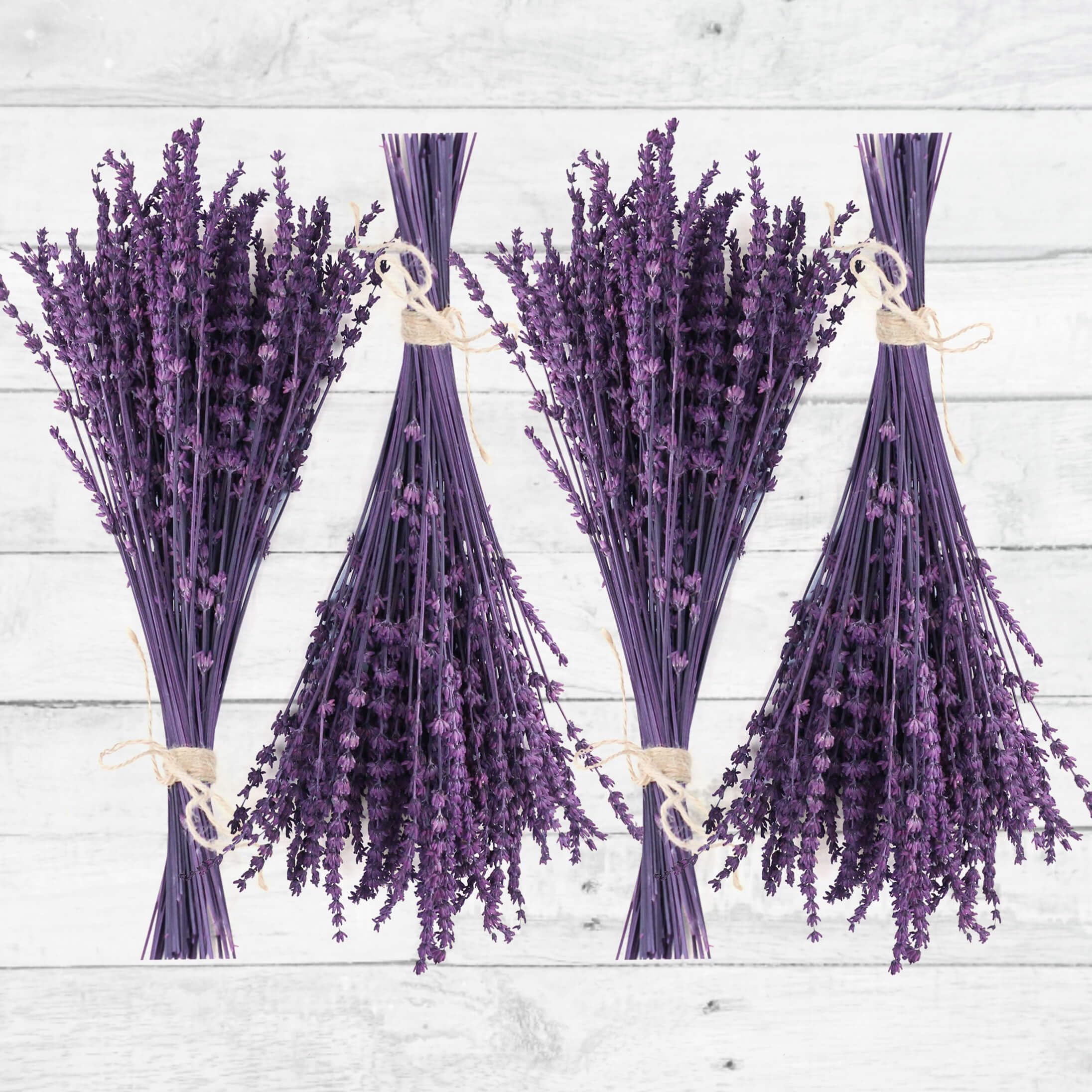 Photo 1 of 4 Packs Dried Preserved Lavender Flowers Bundle, Natural Purple Dried Lavender Bouquet 15''-17" for Crafts Shower Weeding Home Vase Decor, Aromatherapy, Fragrance, Dry Live Plants (Purple-4.23oz)