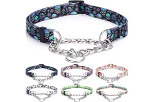 Bbmmayy Martingale Collar, Training Dog Collar, Stainless Steel Chain Pet Collar for No Pull Dog Walking Flowers Design Large Medium Small Dogs (S, Skull)