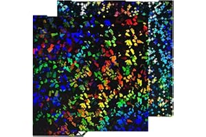 HIKUDIY 256x268mm PEF+PEY Build Plate for Anycubic Kobra 3 V2/Kobra 3/Combo/ACE Pro, Rainbow Confetti PEF+Galaxy PEY Spring Steel Plate Print Bed for Anycubic Kobra 3 3D Printer