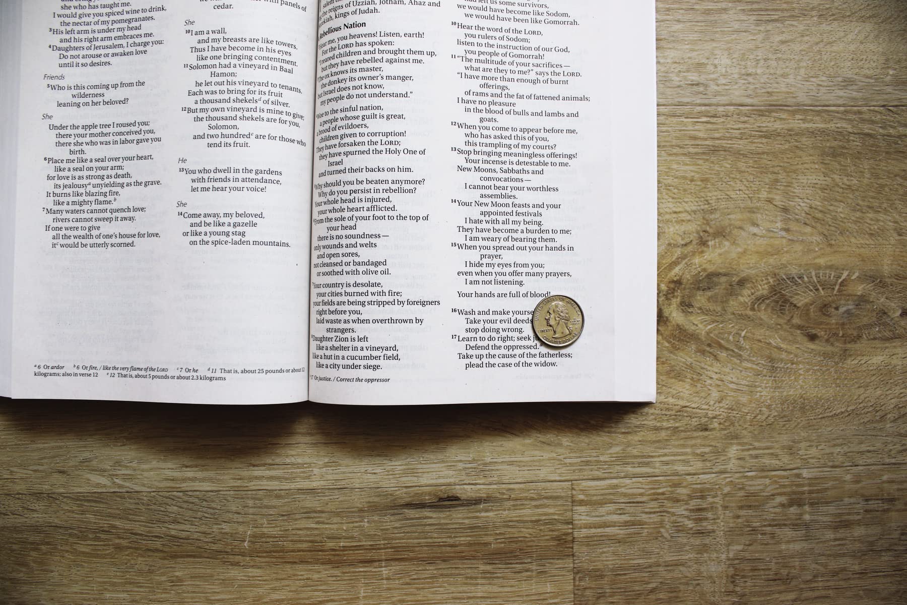 NIV, Outreach Large Print Bible for Kids, Paperback NIV, Outreach Large Print Bible for Kids, Paperback Paperback