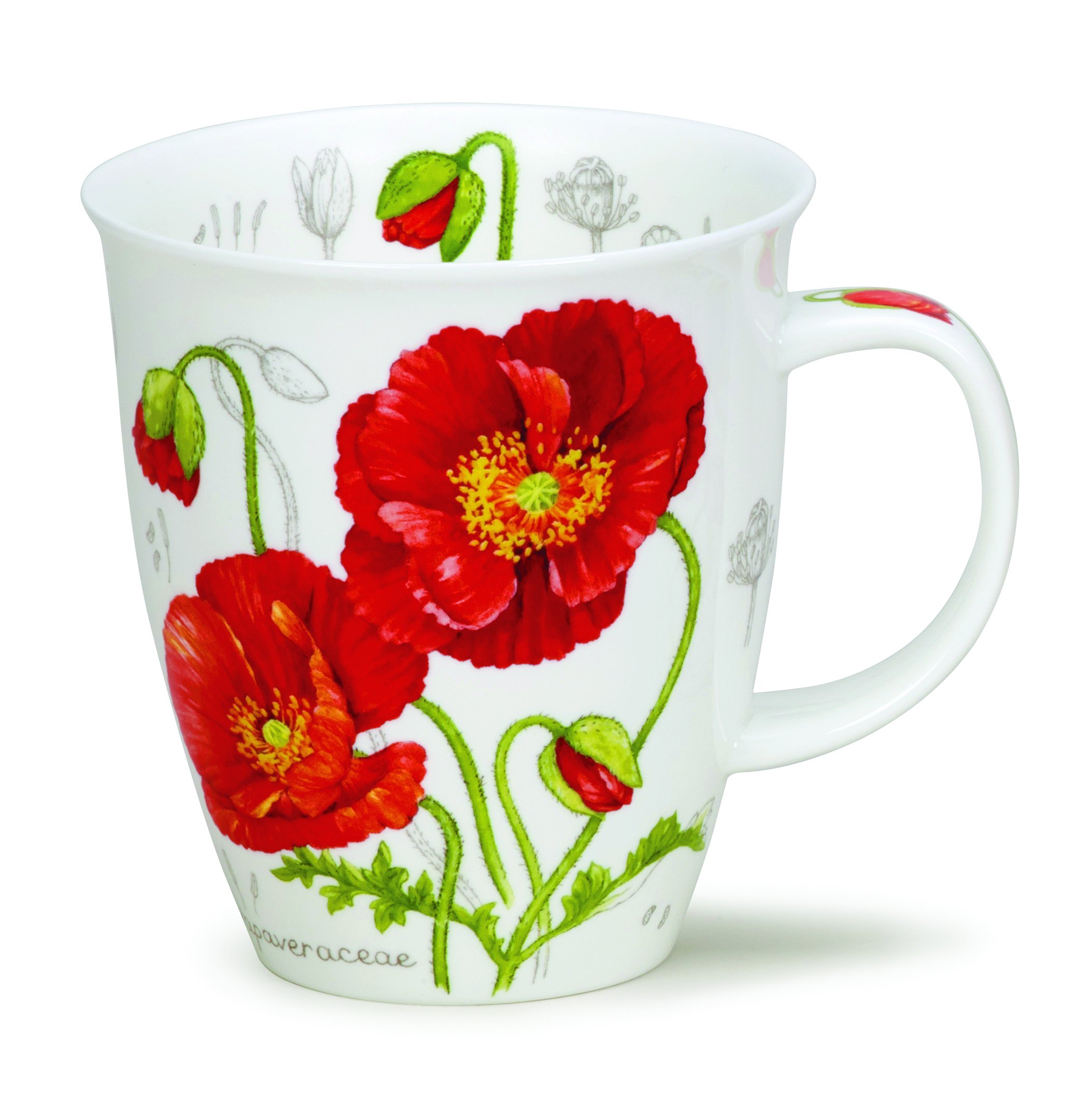 Dunoon Bone China Botanical Sketch Mug (Poppy)