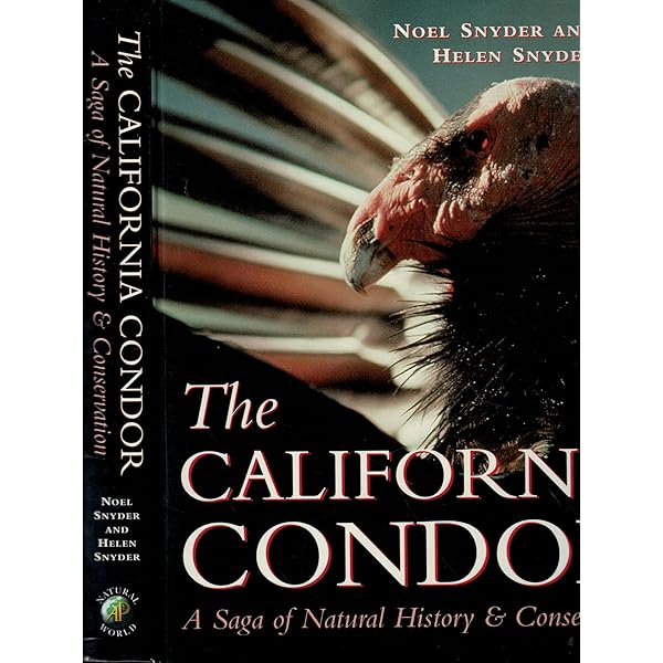 Introduction to the California Condor (Volume 81) (California