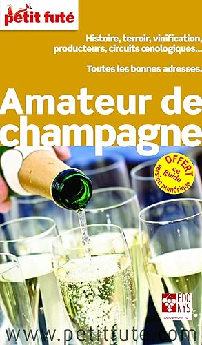 Download Petit Futé Amateur de champagne PDF