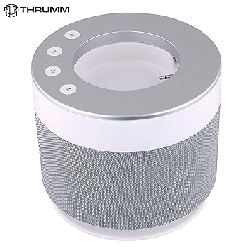echo dot dock