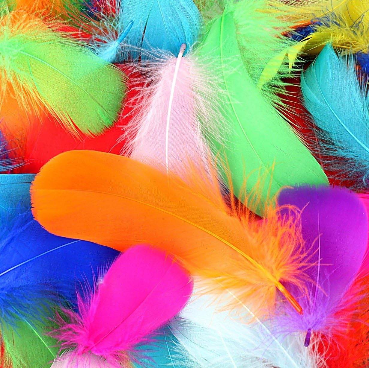 300 pieces Colorful Feathers, 8-12cm / 3-5'', 10 Colors, Safe and Non-toxic And not Fading.