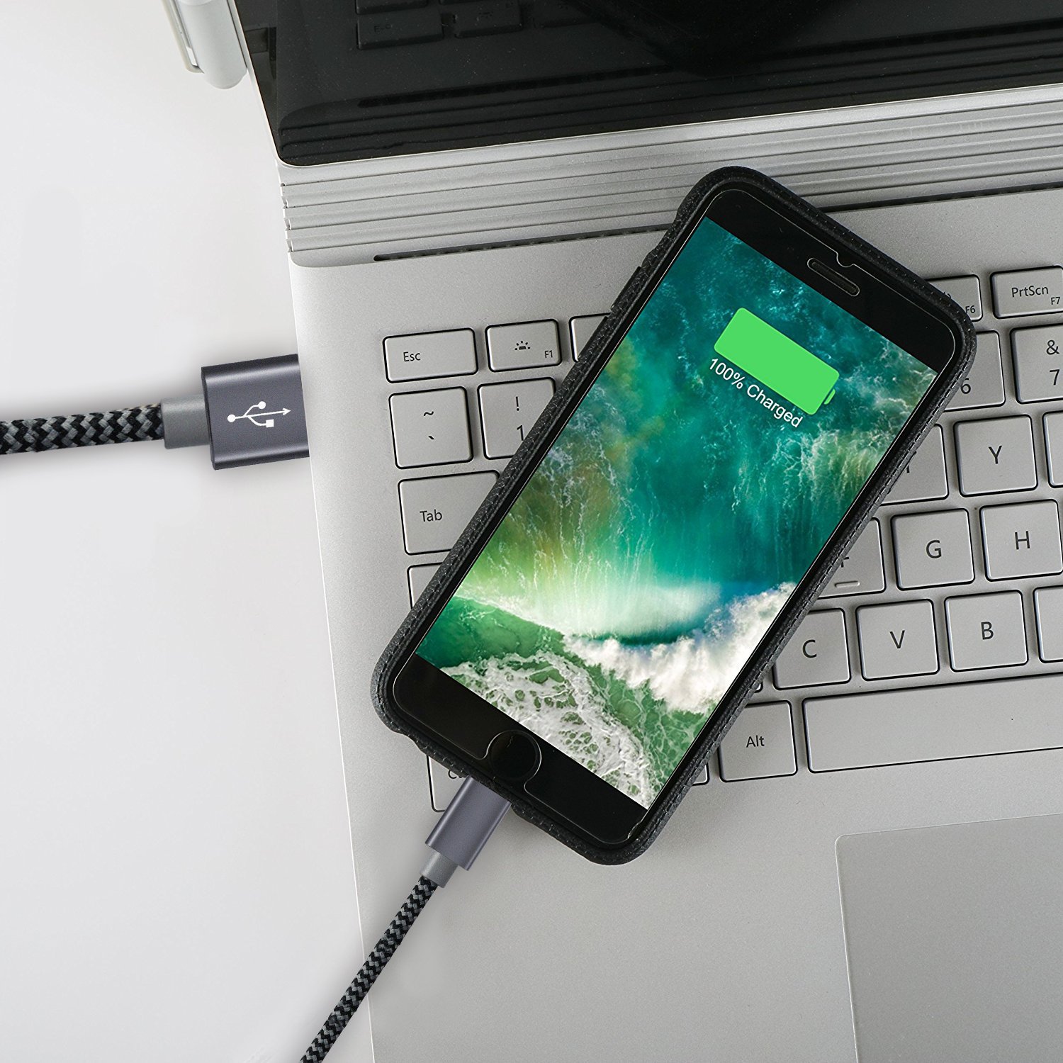 Froggen Chargeur Phone Cable Phone 3M [Pack de 2] Chargeur pour Phone Rapide Cordon vers USB Compatibilité pour Phone XS XR Max X 8 Plus 7 Plus 6s Plus 6 6plus Se 5c 5s 5,Pad Pro,Air,Mini-Gris&Noir