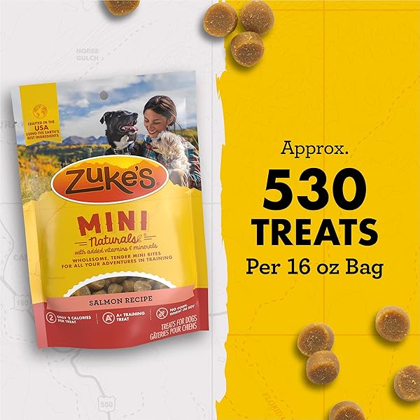 ZUKE’S MINI NATURALS DOG TRAINING TREATS FOR DOGS OF ALL SIZES, PET TREATS MADE WITH REAL SALMON, 16 OZ. RESEALABLE POUCH – 16 OZ. BAG