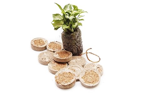 BIO BLOOMS AGRO INDIA PRIVATE LIMITED Coir Seedling Coins cocopeat disc, 42 mm Plant Starter Plugs 100 pcs Bio_18FC