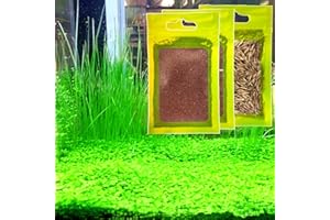 YIZIMONA Live Aquarium Plant See ds Combo,Fresh Water Grass Mini Leaf & Hair Grass Small Pearl Leaf for Fish Tank Terrarium Aquatic Dwarf Carpet Decor AAB