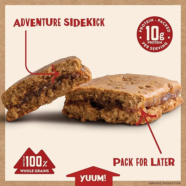 KODIAK SOFT BAKED SANDWICH BREAKFAST BAR, CINNAMON OAT & APPLE, HIGH PROTEIN, 100% WHOLE GRAINS, 1 BOX WITH 4 BARS EACH (4 BARS TOTAL)