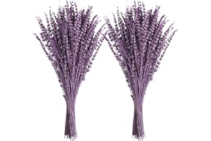 Uieke Dried Lavender Flowers, 16" Dried Lavender Bundles Dried Purple Preserved Lavender Stems Bouquet for Shower Weeding Home Fragrance Vase Crafts Decor, 100g(3.52oz)