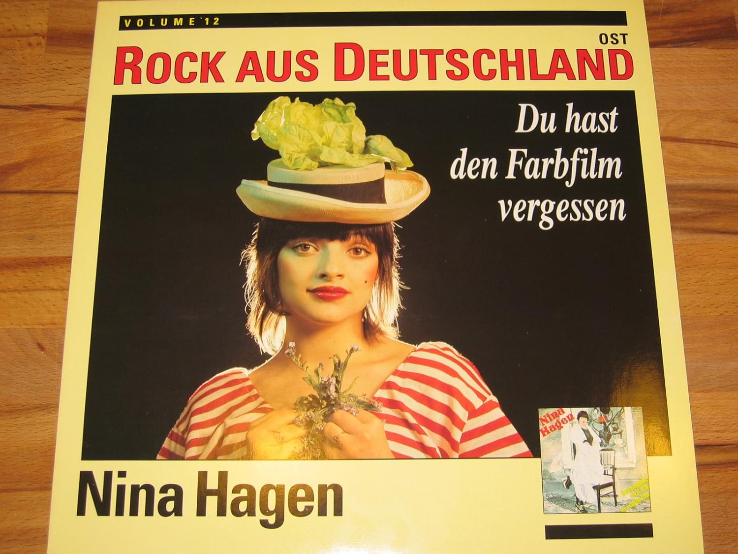 Nina Hagen Du Hast Den Farbfilm Vergessen Karaoke