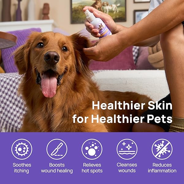 HICC PET HOT SPOT ITCH RELIEF SPRAY FOR DOGS, CATS – PET TREATMENT SPRAY FOR ITCHY, IRRITATED SKIN, ALLERGY, RASHES – LICK SAFE AND PAINLESS WOUND CARE SPRAY FOR ALL ANIMALS (3.4 FL OZ)