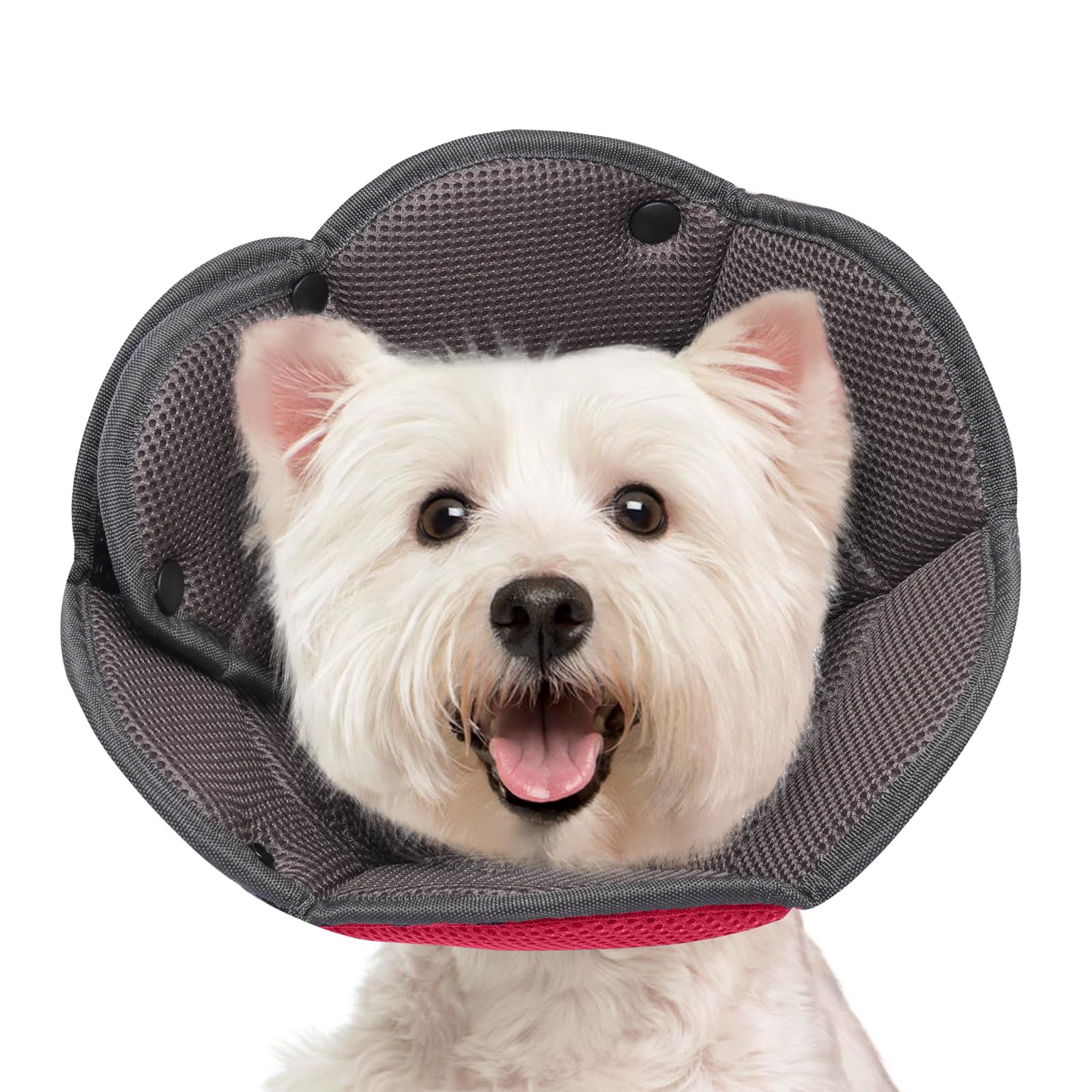 Hjyokuso Dog Cone Collar M, Soft Cones for Large Medium Small Dogs,Adjustable Dog Cone Alternative to Stop Licking, Comfy Elizabethan Collar for After Surgery Wound Healing & Hot Spots RoseRed