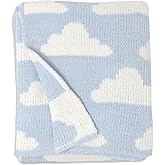 Living Textiles Blue Clouds Chenille Soft Baby Blanket Reversible Premium Cozy Fabric for Best Comfort - for Infant,Toddler,Newborn,Nursery,Boy,Unisex,Throw,Crib,Stroller,Gift, Blue Clouds 40x30