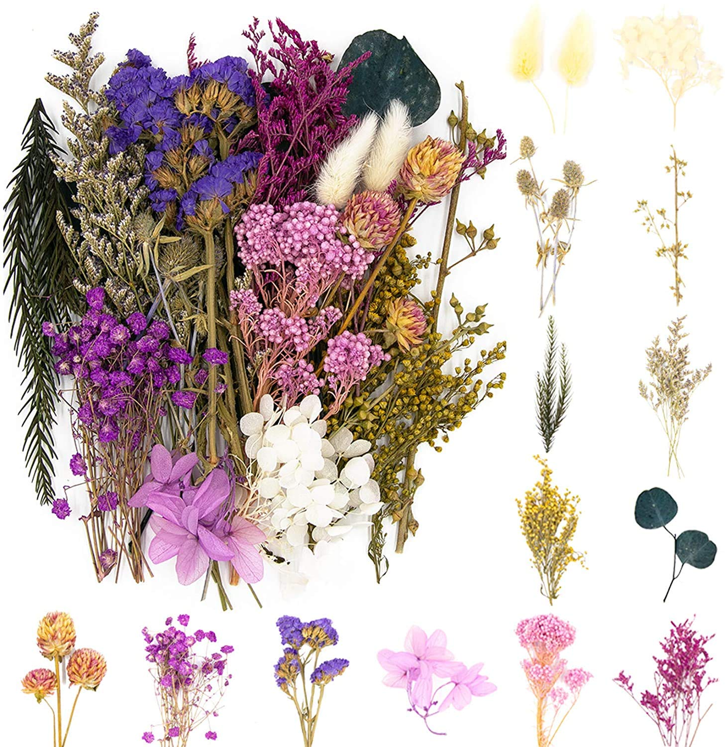 Dried Flowers,Multiple Flowers Natural, DIY Natural Dried Flower Set for Arts and Crafts DIY Resin Jewelry Craft Cards Making(Purple)