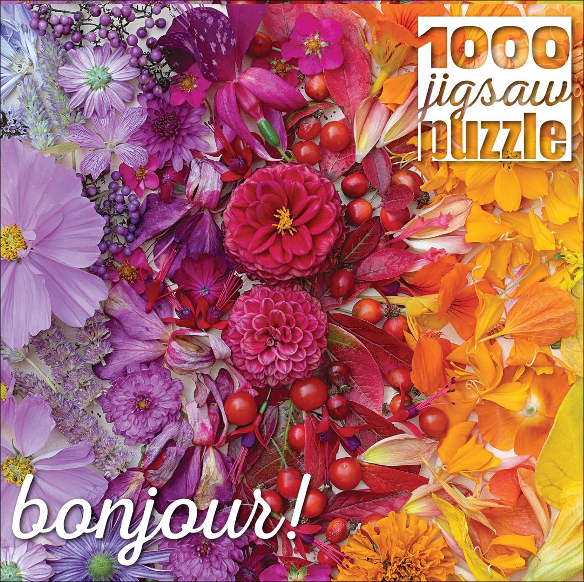 Buffalo Games Puzzle „Bonjour – Gradient Flora“ 1000 Teile – Farbenfrohes Blumenpuzzle, Fertige Größe 67,9 X 50,2 Cm