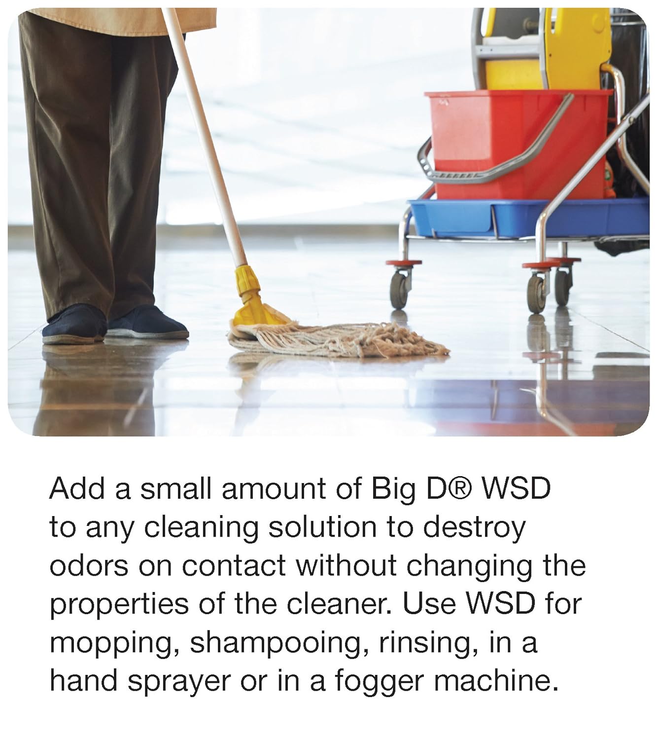 Amazon Com Big D 1358 Water Soluble Deodorant Mountain Air