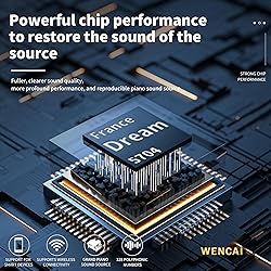 WENCAI 88 Key Fully Weighted Electric Piano