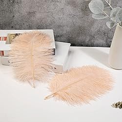 Soarer Champagne Ostrich Feathers for Vase - 15 pcs