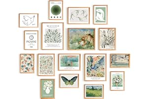 365DoRoTeYa Sage Green Matisse Wall Art Prints Colorful Wall Prints for Home Decor Bedroom Aesthetic wall decor Abstract Posters Set Preppy Boho Farmhouse Style Eclectic Decor for Teen Dorm Bathroom Decor 17 PCS (Unframed)
