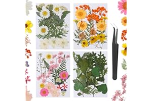 Auidy_6TXD Pressed Dried Flowers for Resin, Mixed Multiple Natural Daisy Flowers Leaves, Floral Art Craft with Tweezers for Scrapbooking DIY Pendant Jewelry Candle and Home Decorations