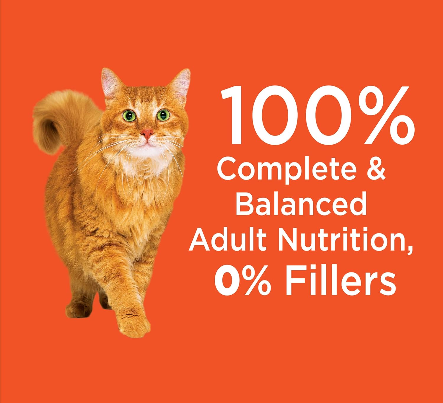 IAMS PROACTIVE HEALTH Adult Healthy Dry Cat Food with Chicken, 22 lb. Bag : Pet Supplies