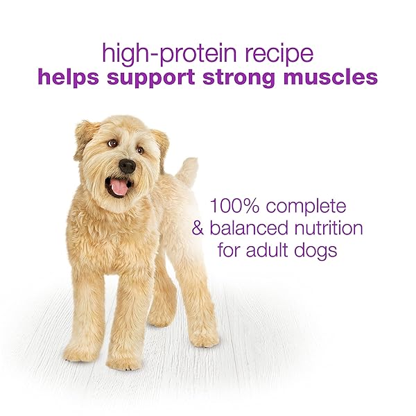 PURINA BENEFUL WET DOG FOOD VARIETY PACK, CHOPPED BLENDS – (12) 10 OZ. TUBS