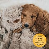 Rosewood My Dog Luxury Plush Toy 40cm Stuff-Free Calming Squeaker view 6