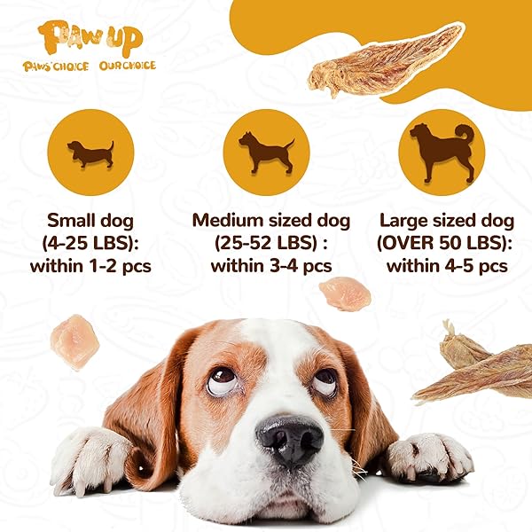 PAWUP CHICKEN JERKY DOG TREATS, LOWER MOISTURE CONTENT, HEALTHY PREMIUM CHEWY DOG JERKY TREATS, 10.6 OZ