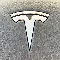 Logo Decal Wrap for Tesla Model X, 14-pc Set